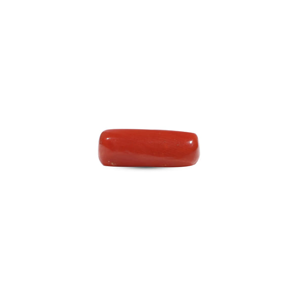 Red Coral - 6.35 Carat