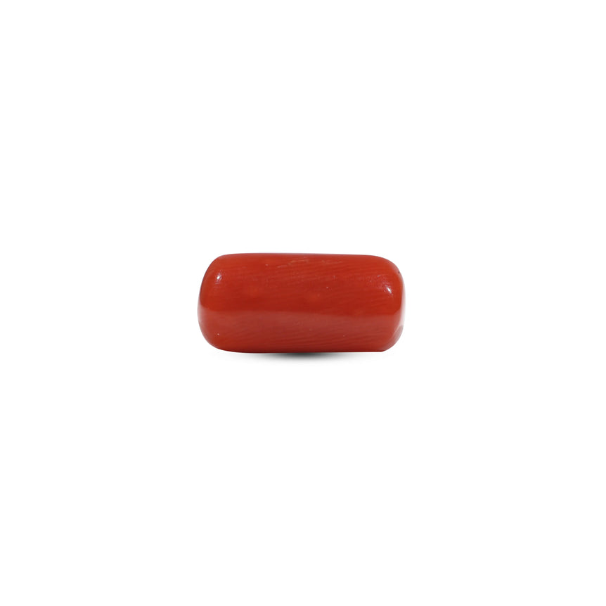 Red Coral - 7.25 Carat - Pramogh