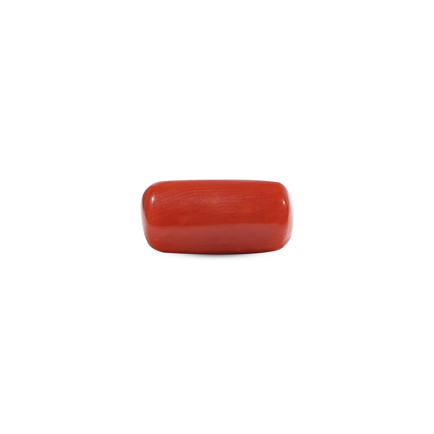 Red Coral - 7.25 Carat