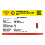 Red Coral - 5.85 Carat