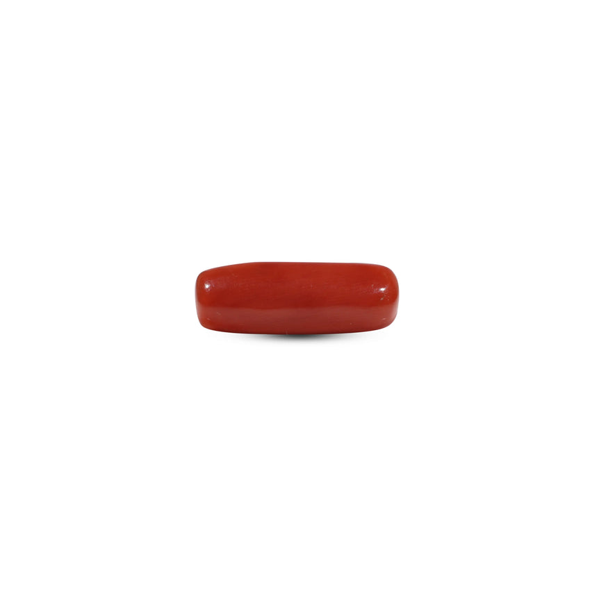 Red Coral - 6.8 Carat - Pramogh