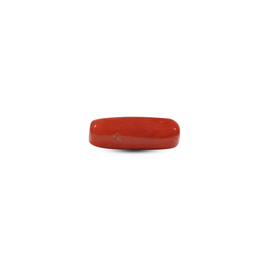 Red Coral - 6.8 Carat