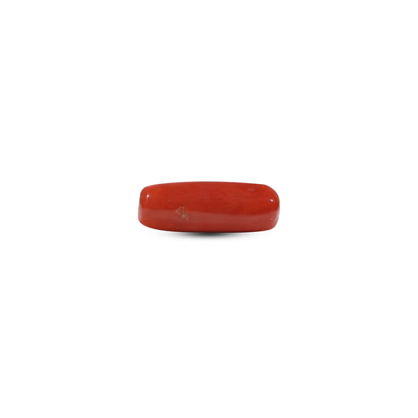 Red Coral - 6.8 Carat