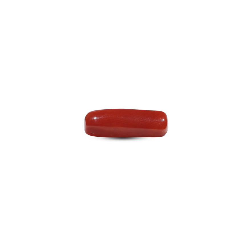 Red Coral - 6.85 Carat - Pramogh