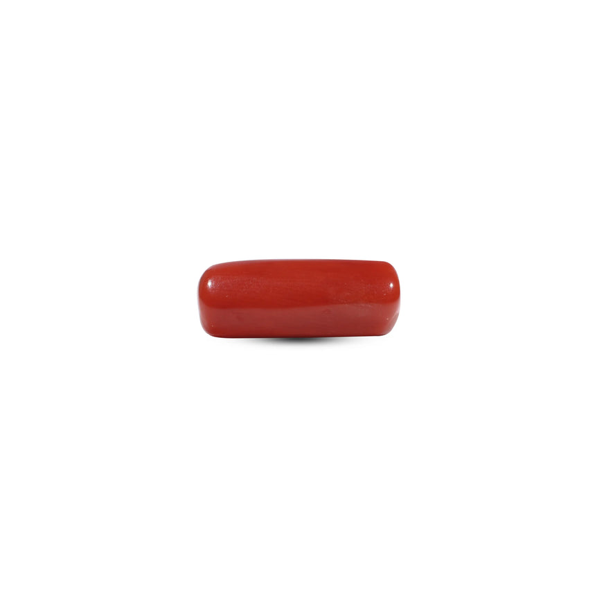 Red Coral - 7.45 Carat