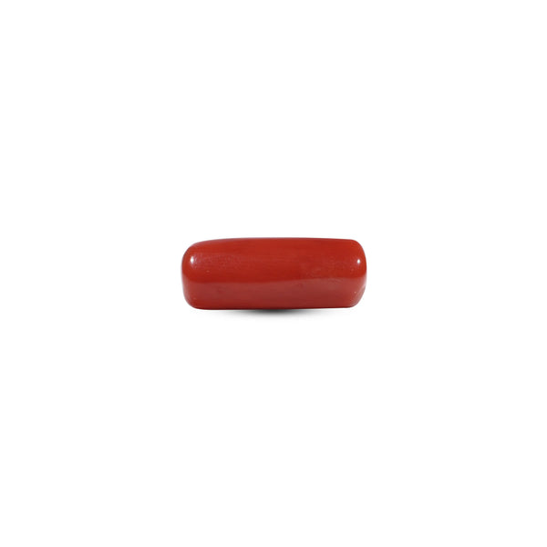 Red Coral - 7.45 Carat