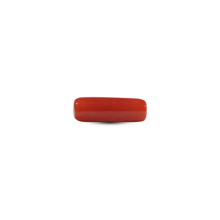 Red Coral - 6.8 Carat