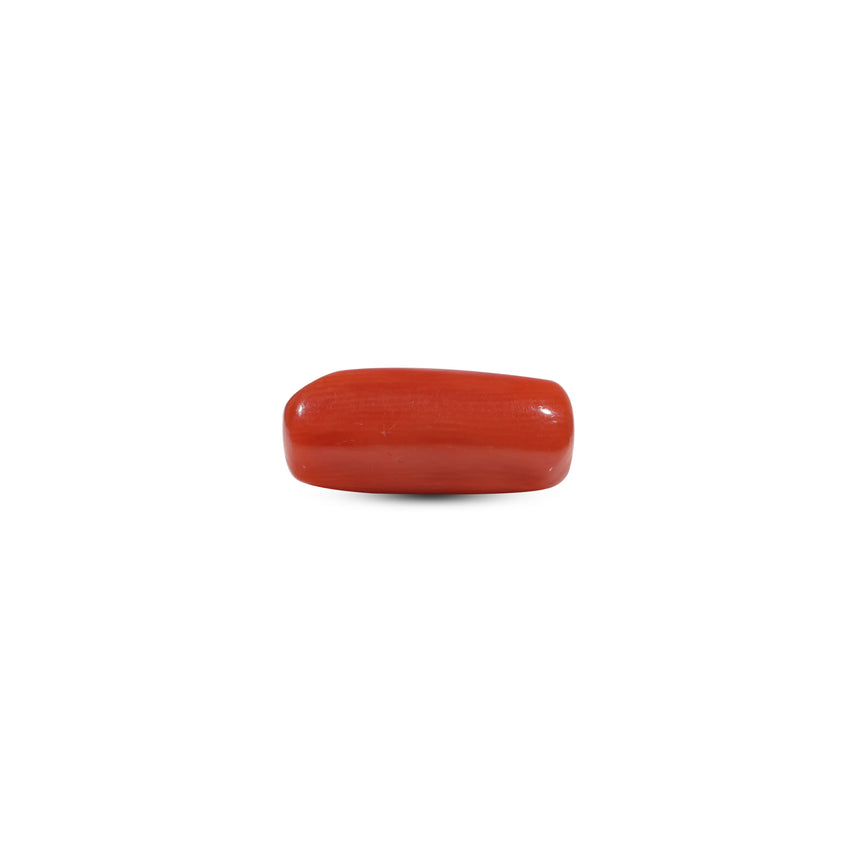 Red Coral - 6.7 Carat - Pramogh