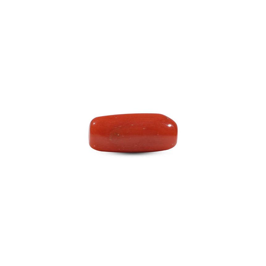 Red Coral - 6.7 Carat