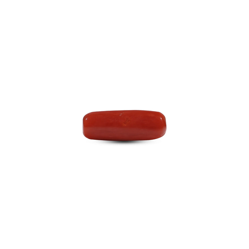 Red Coral - 5.6 Carat