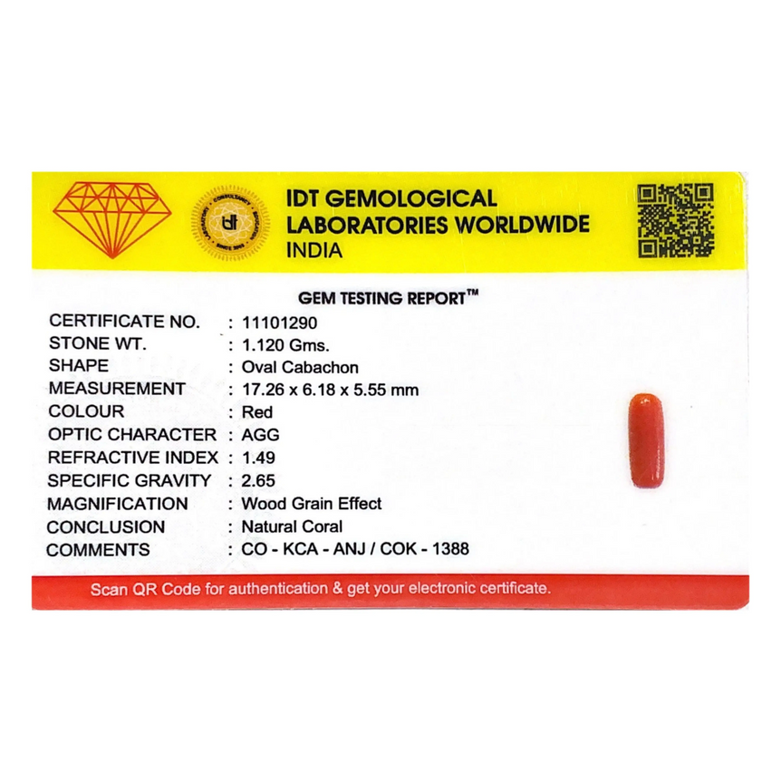 Red Coral - 5.6 Carat