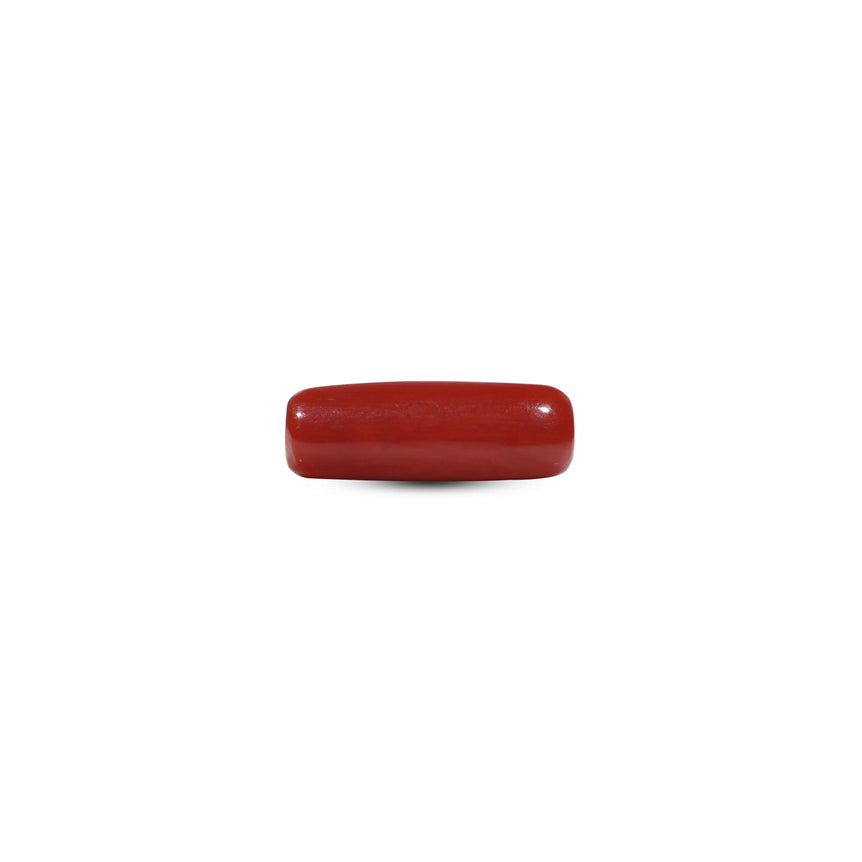 Red Coral - 7.25 Carat - Pramogh