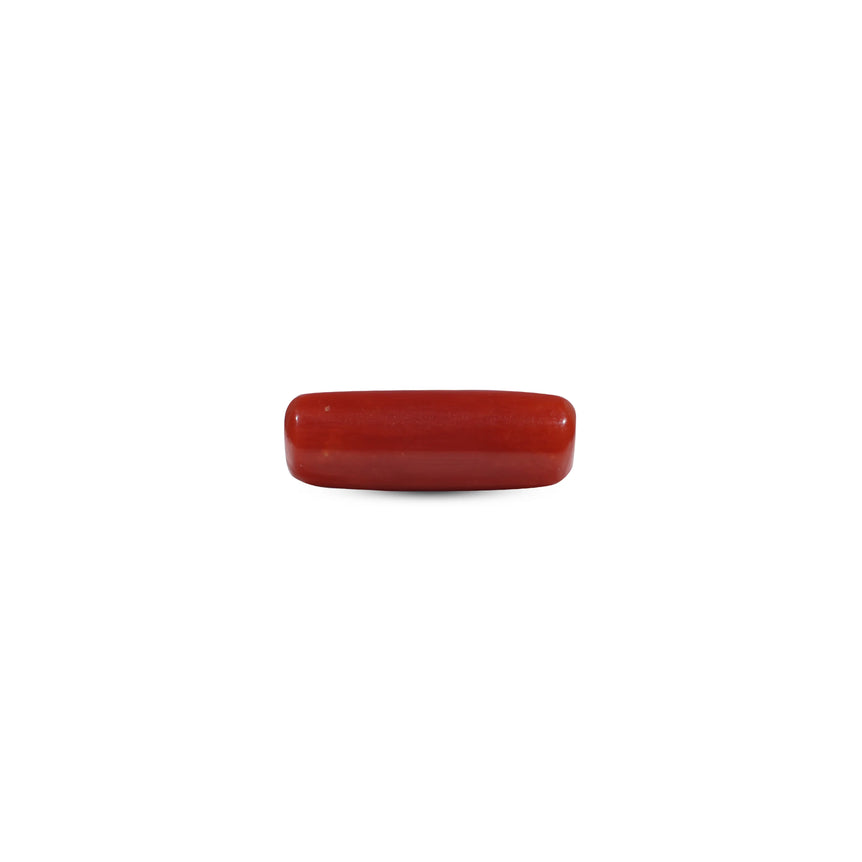 Red Coral - 7.25 Carat