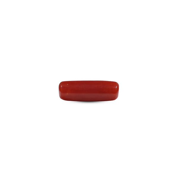 Red Coral - 7.25 Carat