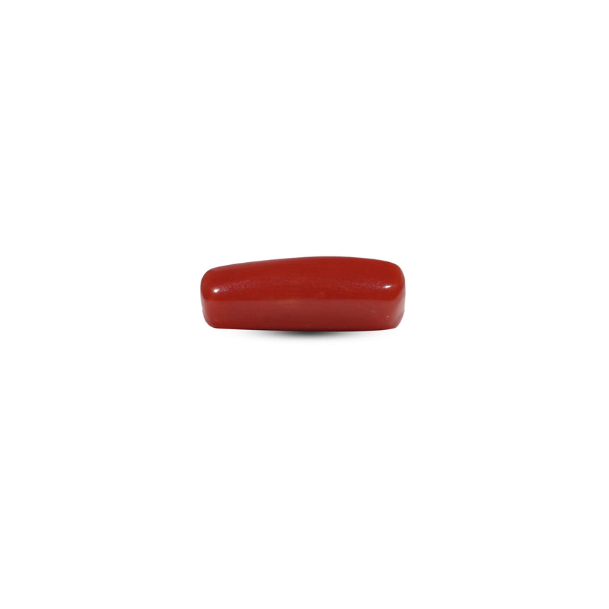 Red Coral - 6.1 Carat