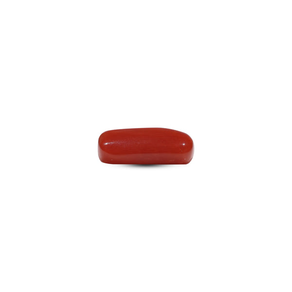 Red Coral - 6.95 Carat