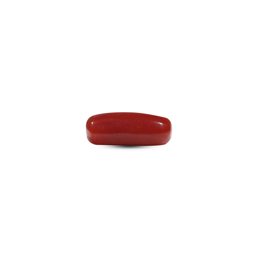 Red Coral - 6.05 Carat - Pramogh