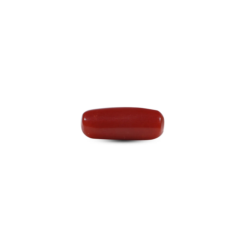 Red Coral - 6.05 Carat