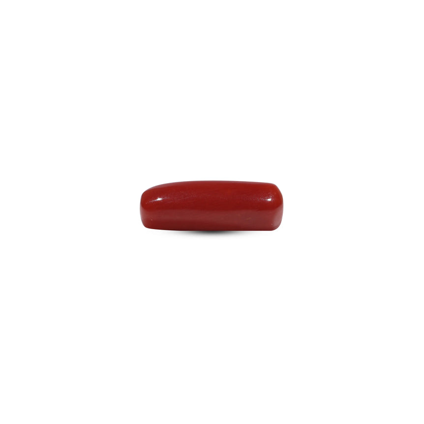 Red Coral - 6.05 Carat