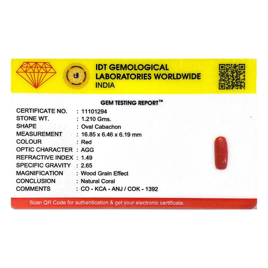 Red Coral - 6.05 Carat