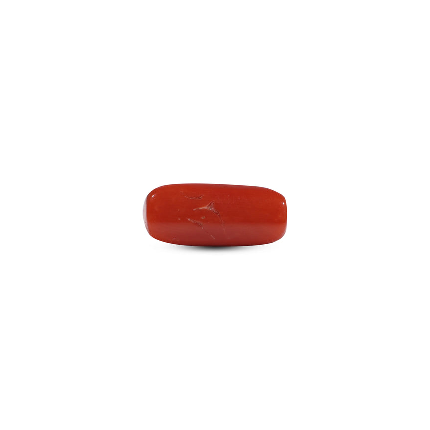 Red Coral - 7.2 Carat