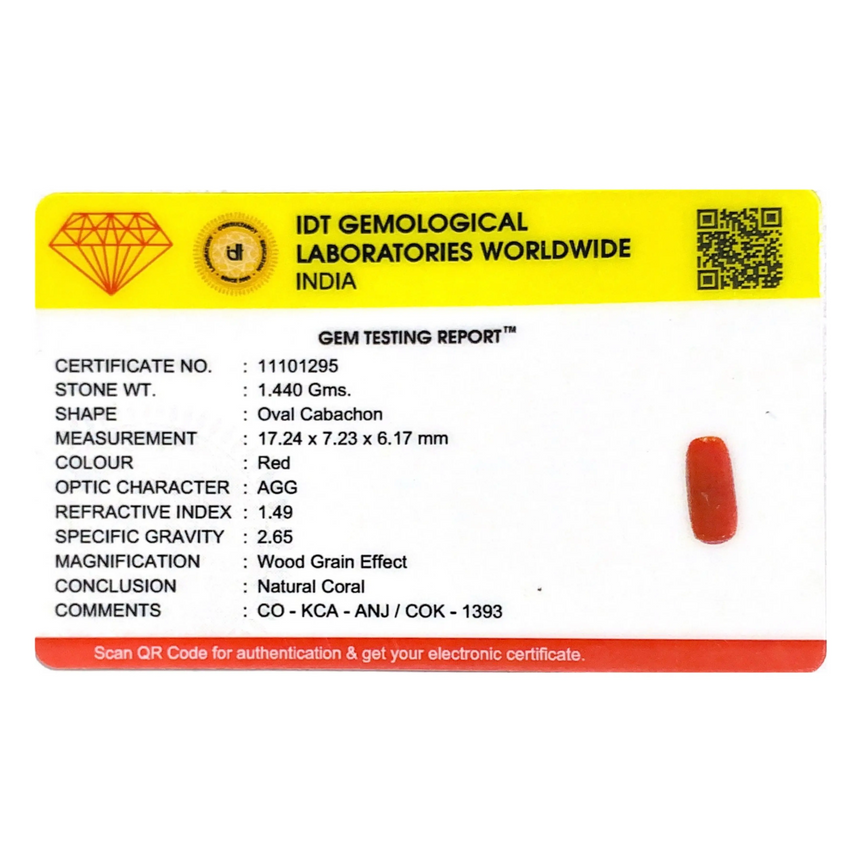 Red Coral - 7.2 Carat