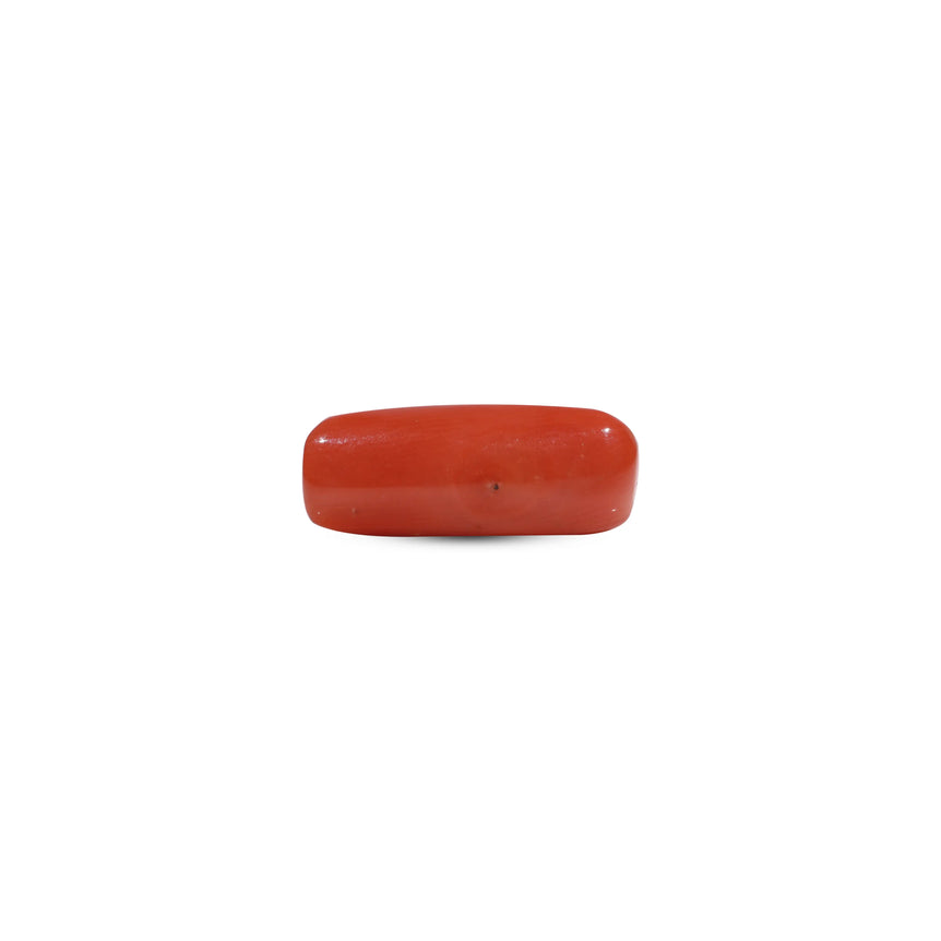 Red Coral - 6.8 Carat - Pramogh