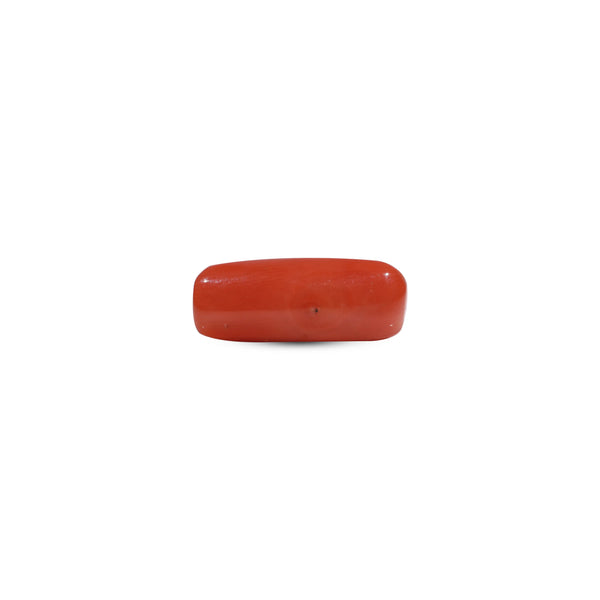 Red Coral - 6.8 Carat - Pramogh