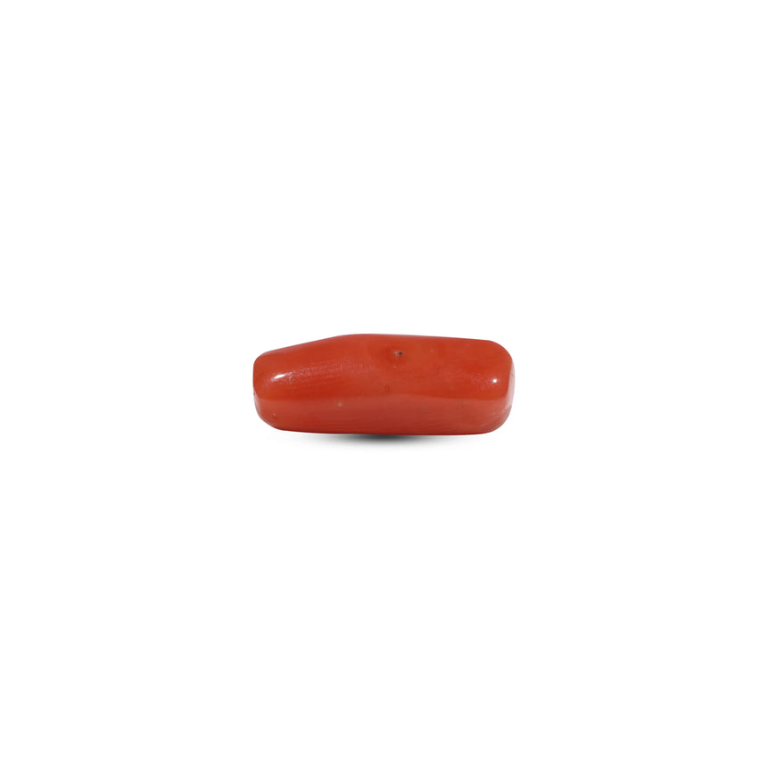 Red Coral - 6.8 Carat