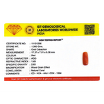 Red Coral - 6.8 Carat
