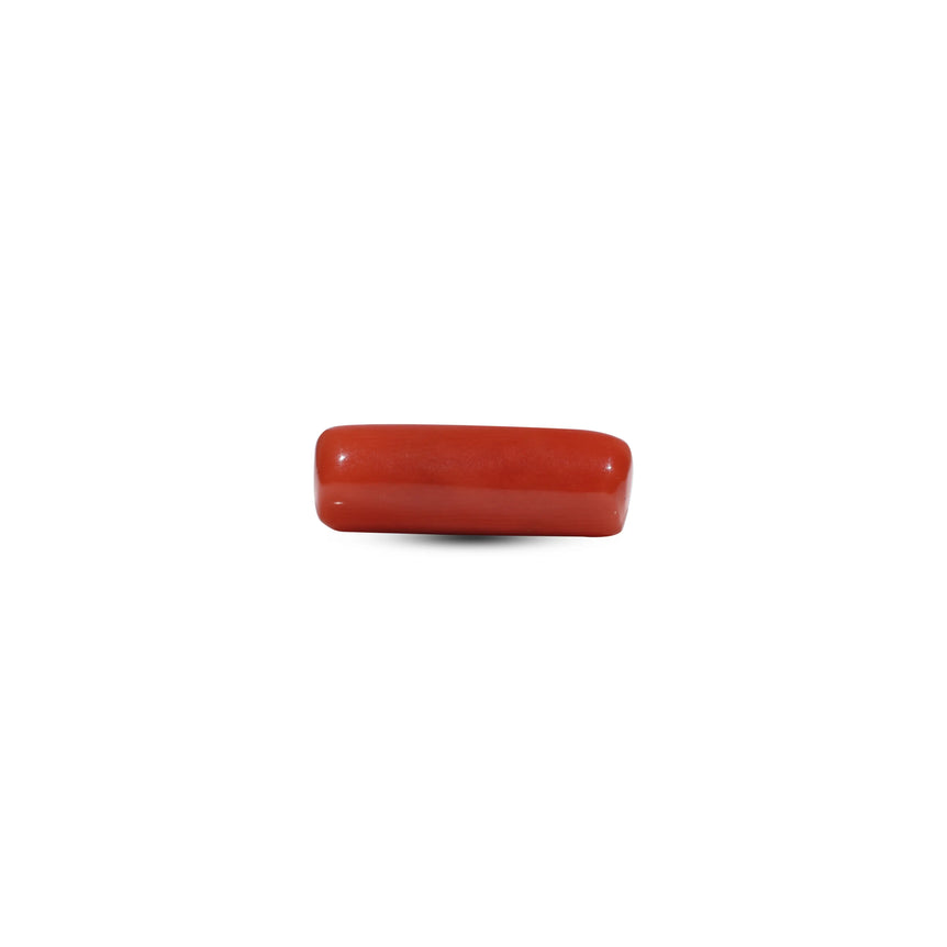 Red Coral - 6.65 Carat