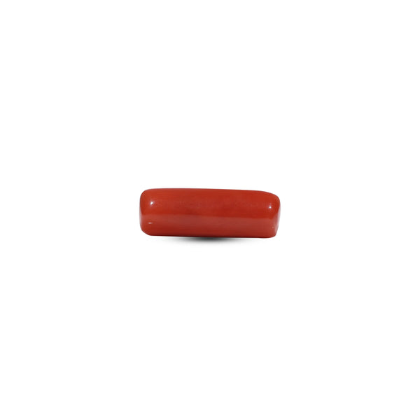Red Coral - 6.65 Carat