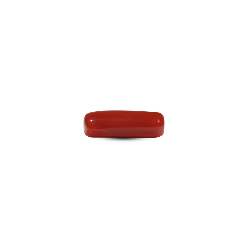 Red Coral - 5.4 Carat - Pramogh