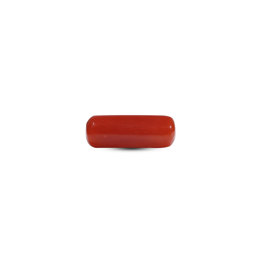 Red Coral - 6.65 Carat - Pramogh