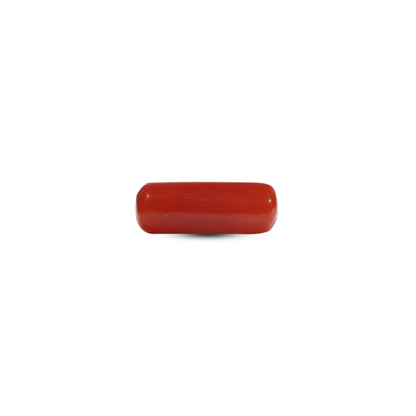 Red Coral - 6.65 Carat - Pramogh