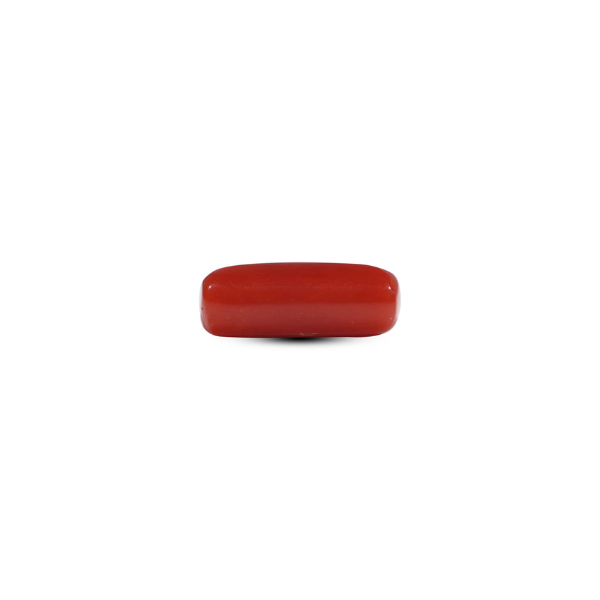 Red Coral - 5.7 Carat