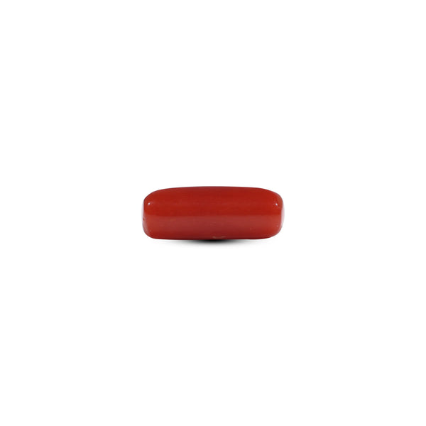 Red Coral - 5.7 Carat