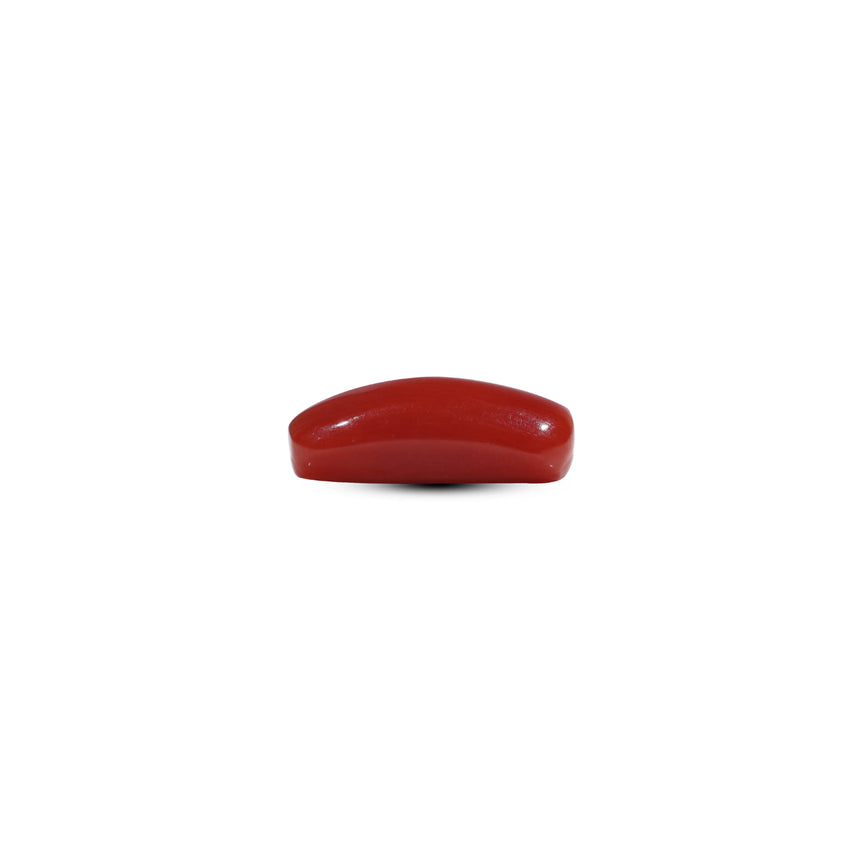 Red Coral - 5.7 Carat