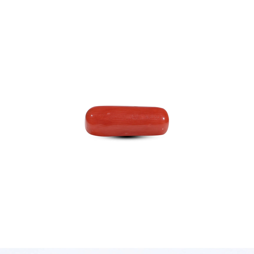 Red Coral - 6.3 Carat - Pramogh