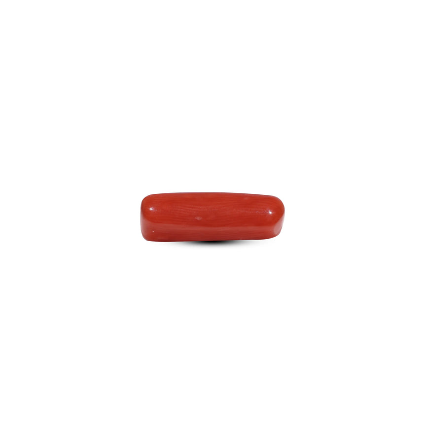 Red Coral - 6.3 Carat