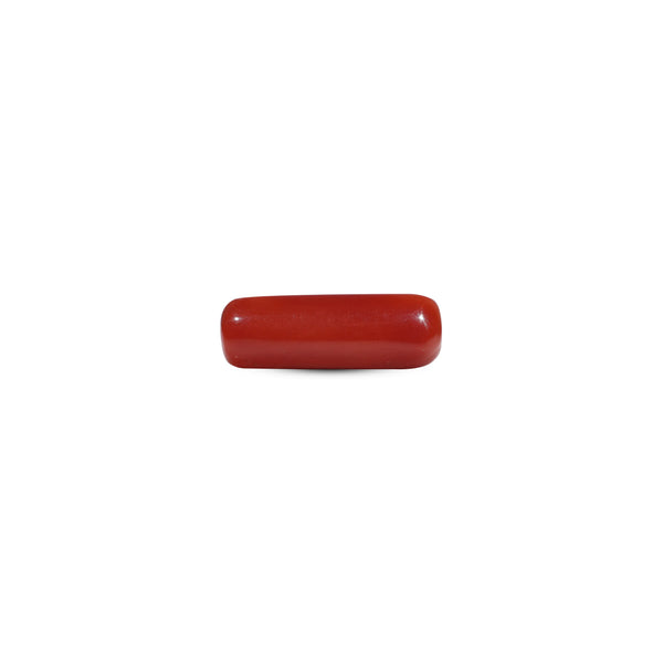 Red Coral - 6.3 Carat - Pramogh