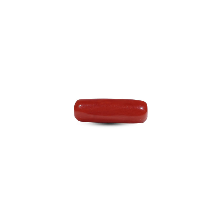 Red Coral - 5.55 Carat - Pramogh