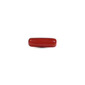 Red Coral - 5.55 Carat - Pramogh
