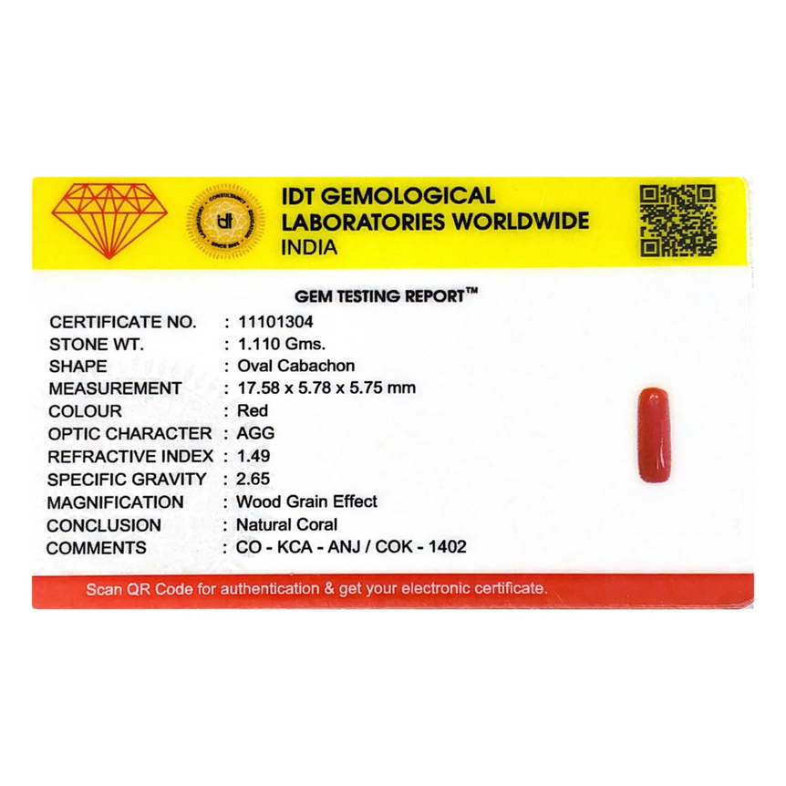Red Coral - 5.55 Carat