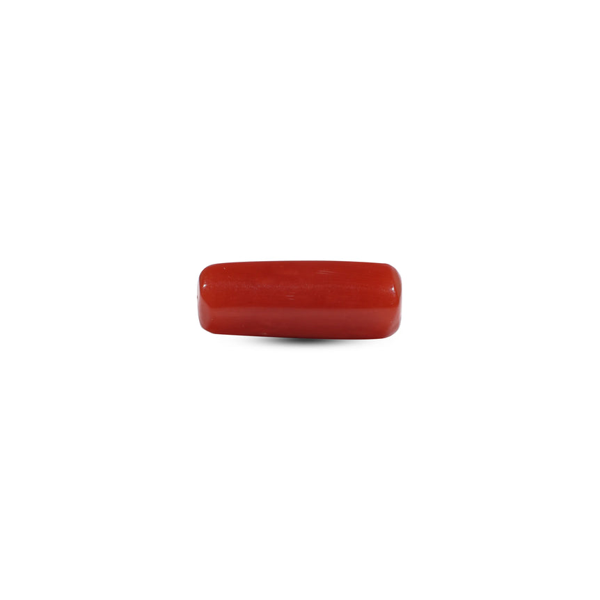 Red Coral - 6.1 Carat