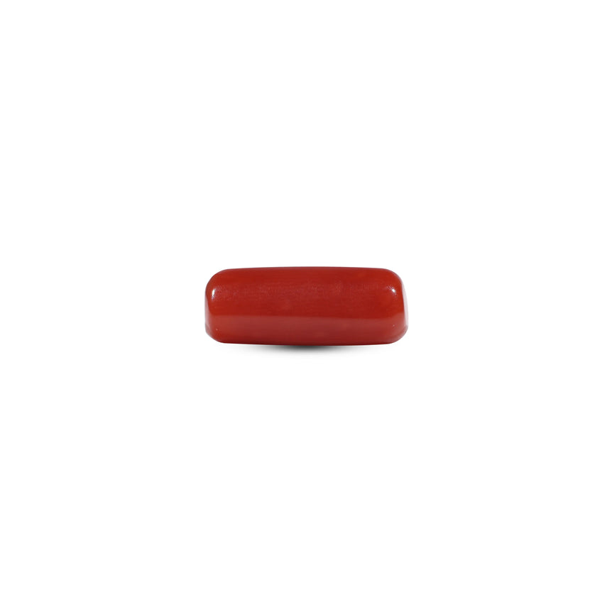 Red Coral - 5.7 Carat