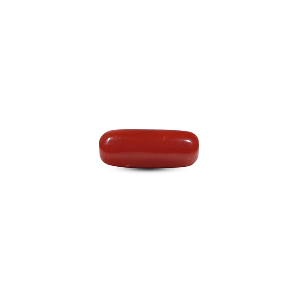Red Coral - 6.8 Carat - Pramogh