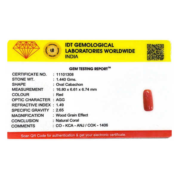Red Coral - 7.2 Carat