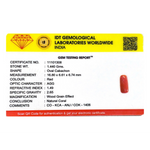 Red Coral - 7.2 Carat