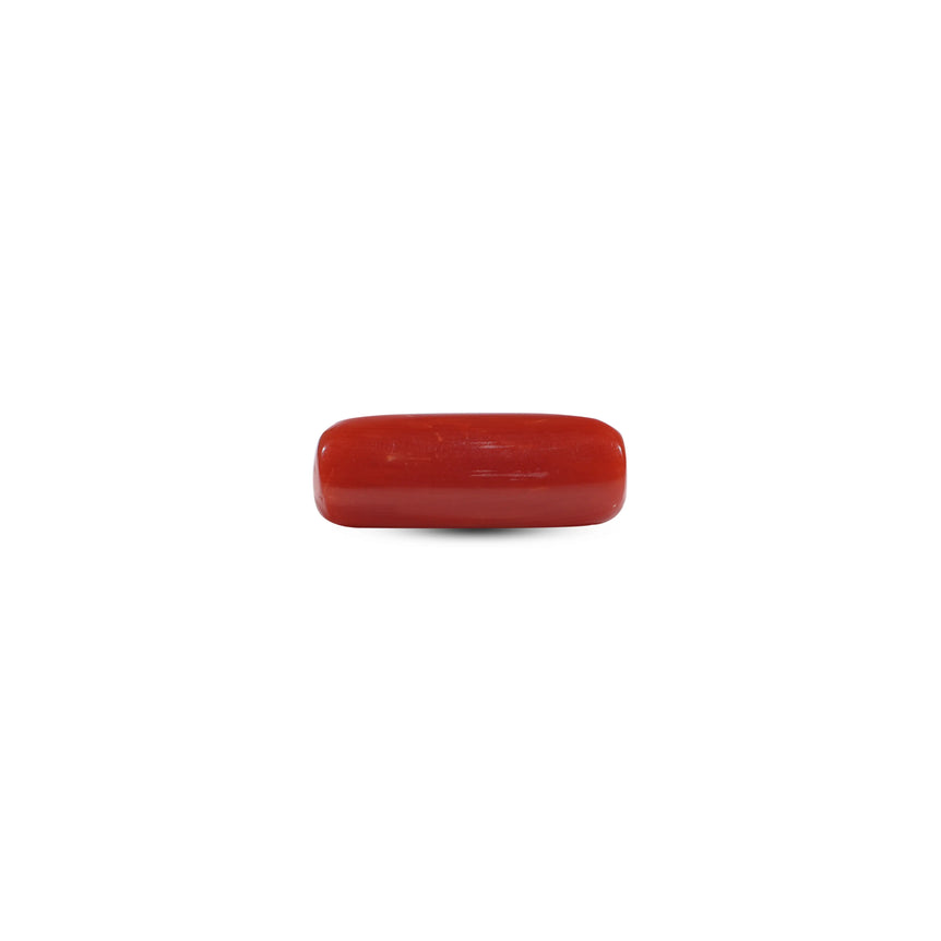 Red Coral - 7.3 Carat